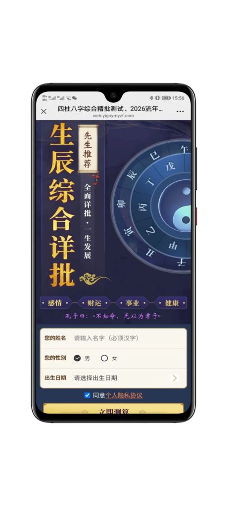 图片[9]-2026马年最新运营级运势测算源码 马年运势 八字精批 八字合婚-速聚网